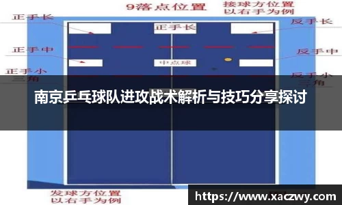 南京乒乓球队进攻战术解析与技巧分享探讨