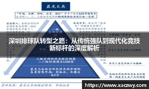 深圳排球队转型之路：从传统强队到现代化竞技新标杆的深度解析