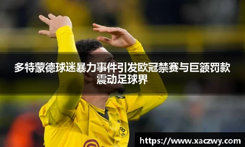 多特蒙德球迷暴力事件引发欧冠禁赛与巨额罚款震动足球界